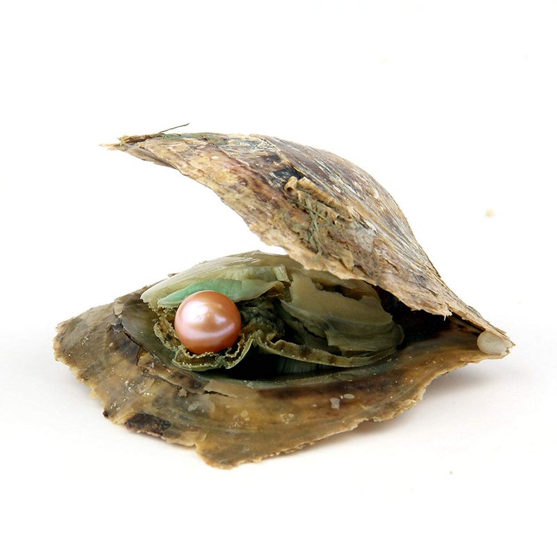 POSHOPS 50PC Oysters with Pearls Inside Wholesale Round Pearl Freshwater Pearl Oyster Oysters Bulk for Christmas Party - Image 4